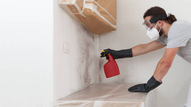 Attic Mold Remediation treatment on roof deck in West Islip